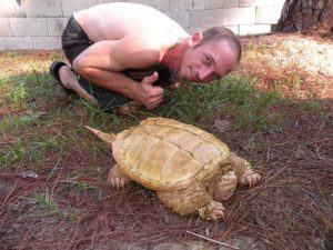 Albino Snapping turtles