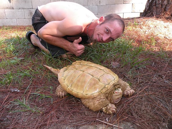 Albino Snapping turtle