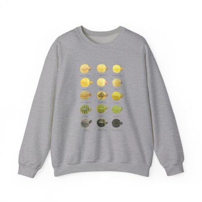 Red-Eared Slider Morphs Crew  Sweatshirt - Image 3