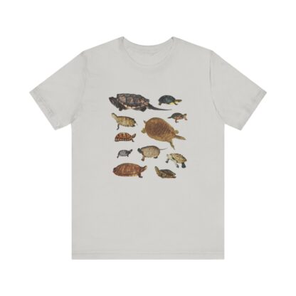 Turtles of New England Tshirt - Image 5