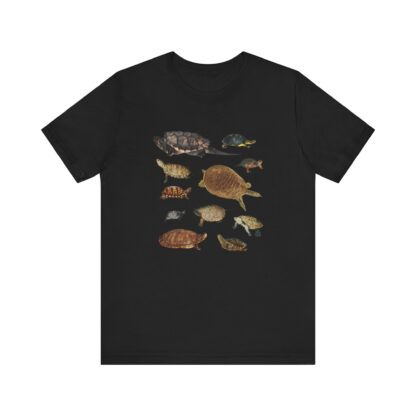 Turtles of New England Tshirt