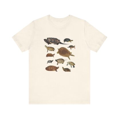 Turtles of New England Tshirt - Image 3