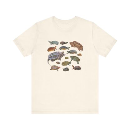 Turtles of Florida Tshirt - Image 2