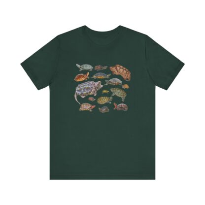 Turtles of Florida Tshirt - Image 6