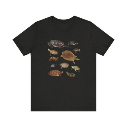 Turtles of New England Tshirt - Image 6