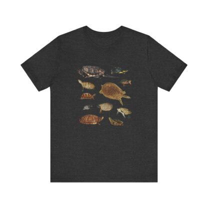 Turtles of New England Tshirt - Image 10