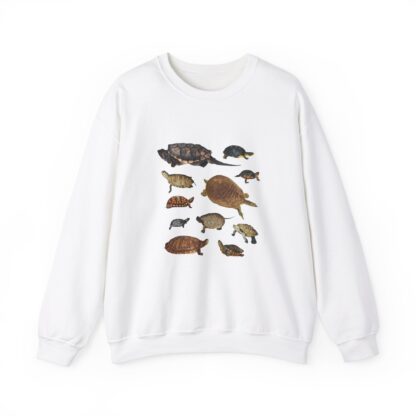 Turtles of New England Crew Sweatshirt