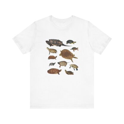 Turtles of New England Tshirt - Image 2