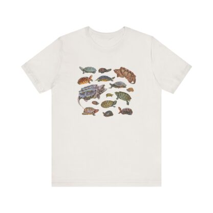 Turtles of Florida Tshirt - Image 3