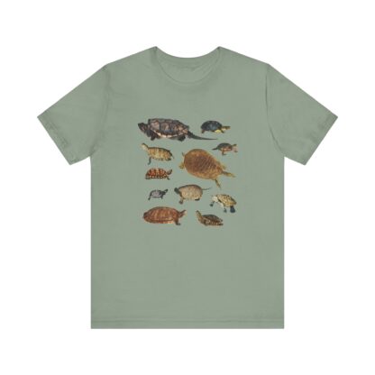 Turtles of New England Tshirt - Image 8