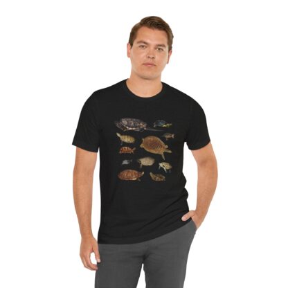 Turtles of New England Tshirt - Image 7