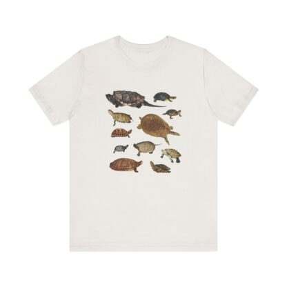 Turtles of New England Tshirt - Image 4