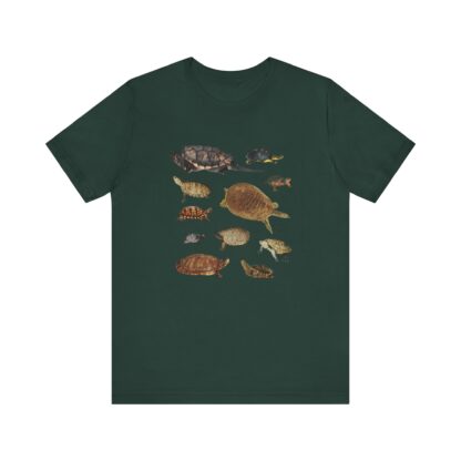 Turtles of New England Tshirt - Image 9